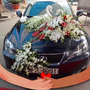 Meet your Posher, Son